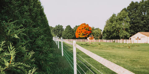 Cover photo for Kansas Development Finance Authority Beginning Farmer Bond Program